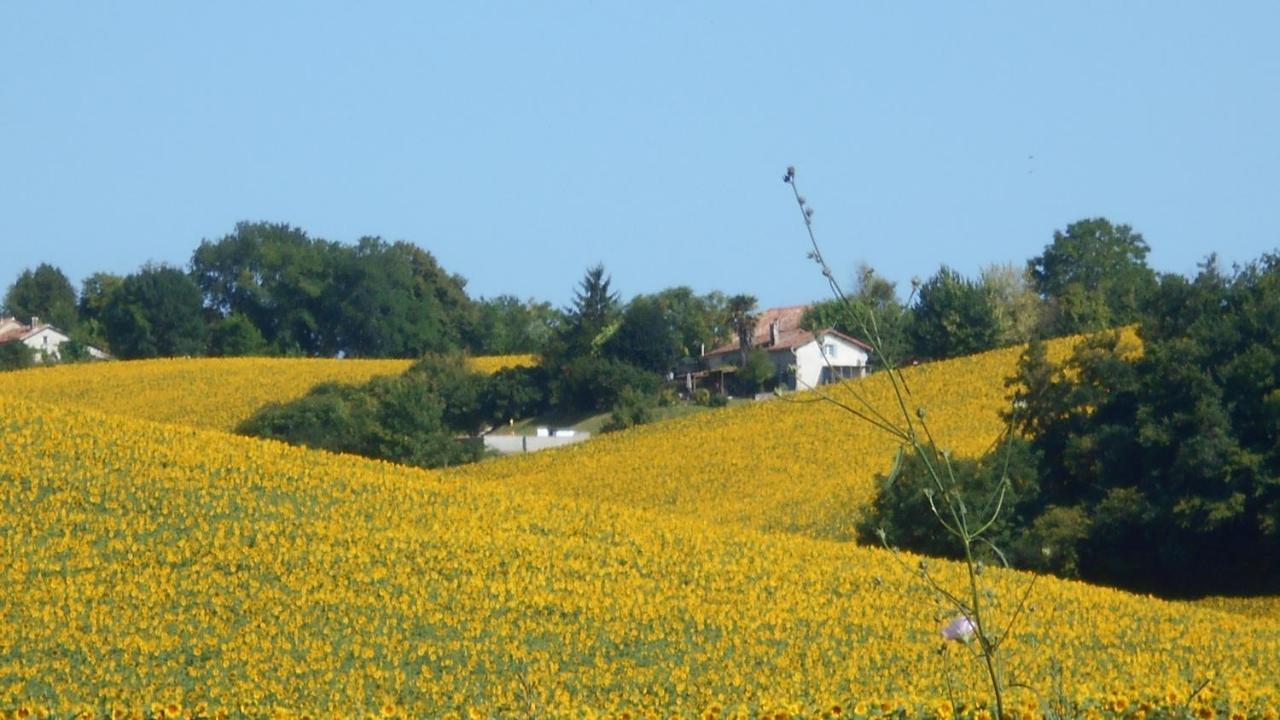 La Tranquillite, Le Repos Villa Nanteuil-Auriac-de-Bourzac Eksteriør bilde